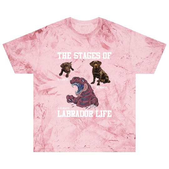 Labrador Lovers STAGES OF A LABRADOR LIFE Blast T Shirts
