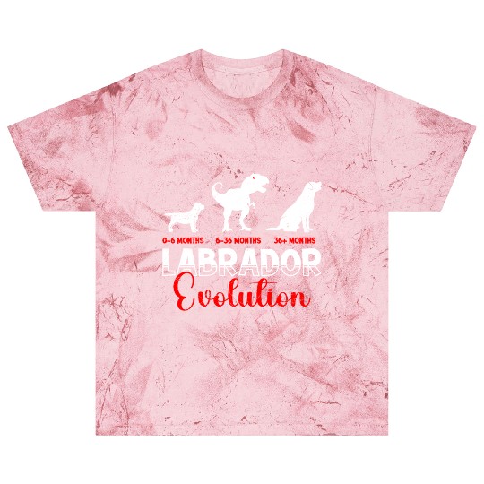 Labrador EVOLUTION Labrador Lovers Funny Blast T Shirts