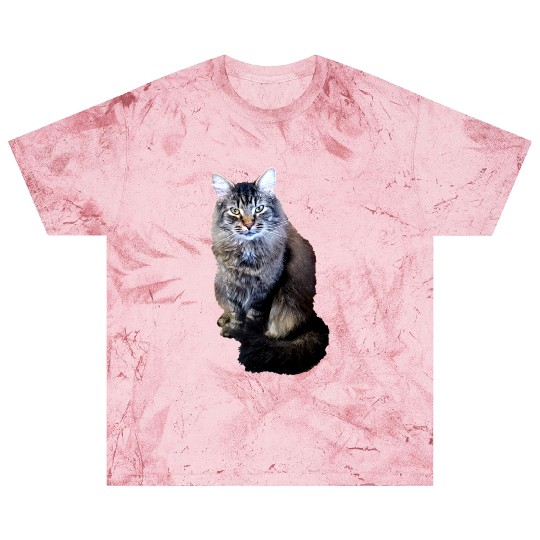 Indie the Cute Cat Blast T Shirts
