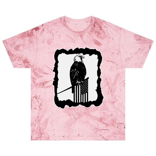 Framed Eagle On Flag Pole LIKE US ON FACEBOOK # Blast T Shirts