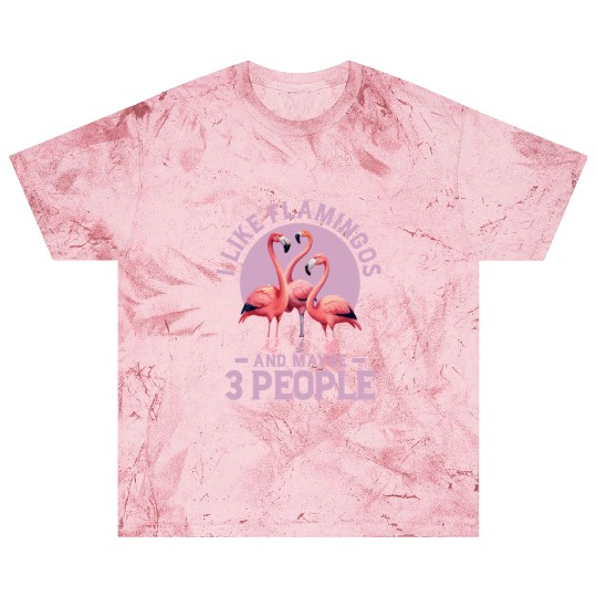 I Like Flamingos And Maybe 3 People Pink Bird Cute Blast T Shirts