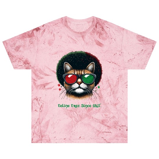 Feline Free Since 1865, Afro Cat Juneteenth Design Blast T Shirts