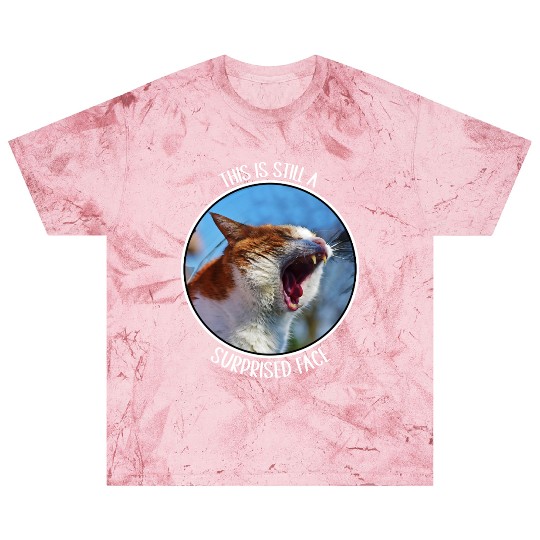 This is Still A Surprised Face Funny Cute Cat Meme Blast T Shirts