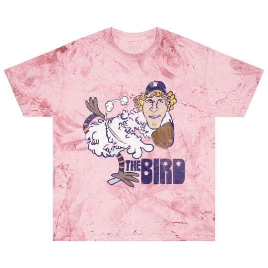 Detroit Baseball Bird Blast T Shirts
