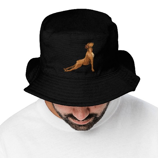 Portrait from a Lovely Rhodesian Ridgeback Bucket Hats