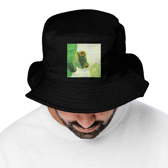 Cute Green Frog Peeping out From Behind Lily Pad Bucket Hats