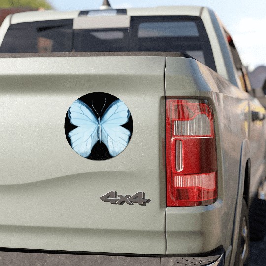 Butterfly Car Magnets