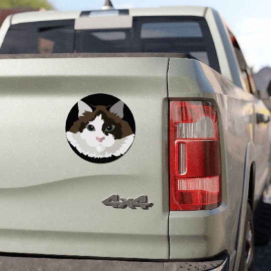 Cat face Car Magnets