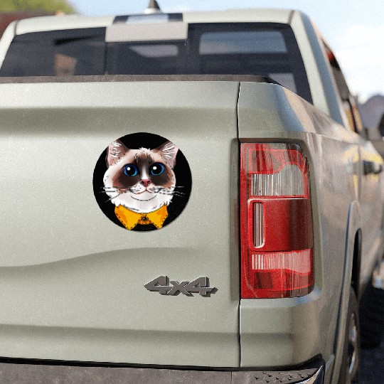 Ragdoll Cat Face Cats funny cute sweet Kitty gift Car Magnets