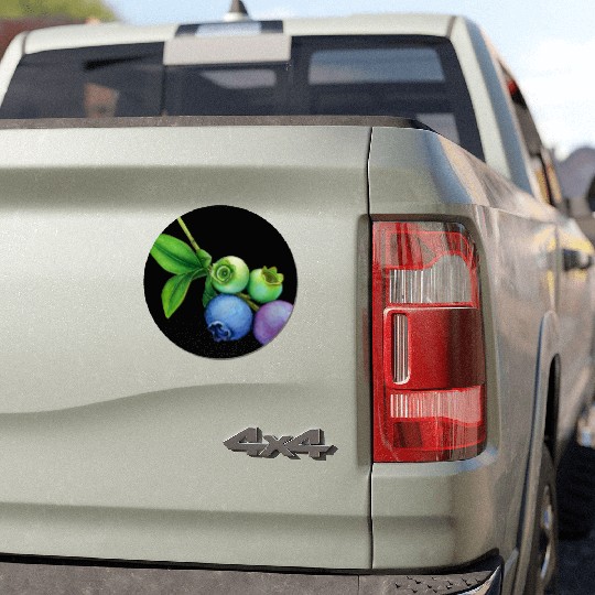 blueberries Car Magnets