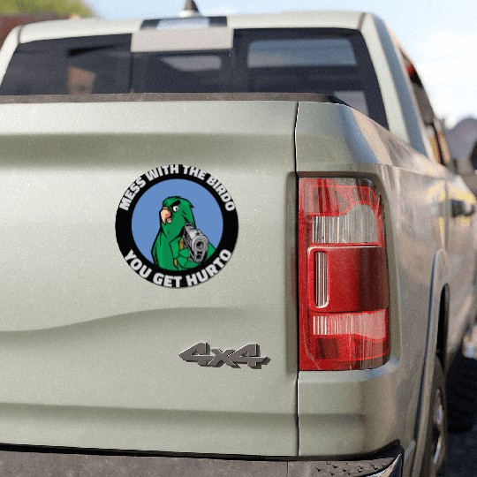 Bird Cartoon Birdwatching Bird Owner Car Magnets