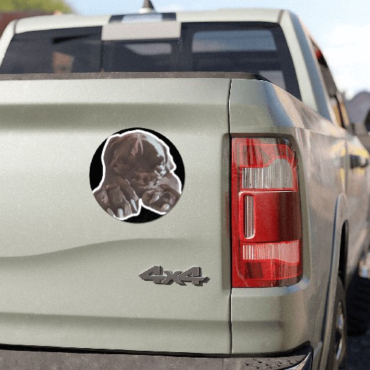 Cane corso in its natural sleeping environment Car Magnets
