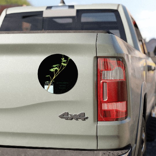 Growth Happens One Step At A Time Car Magnets