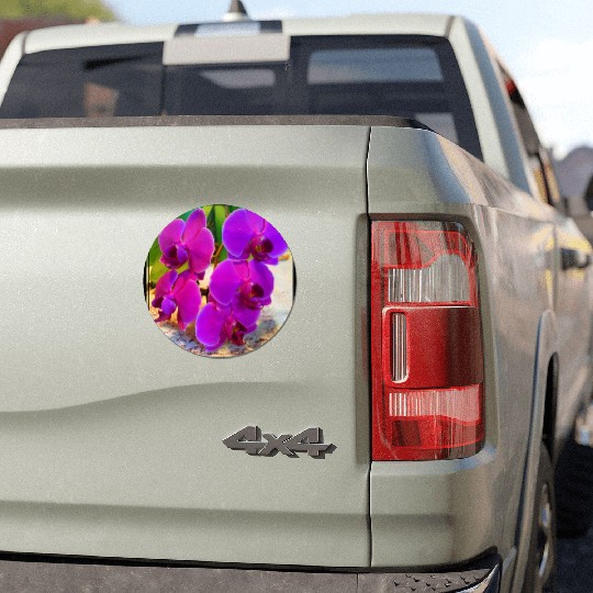 Orchid 2 Car Magnets