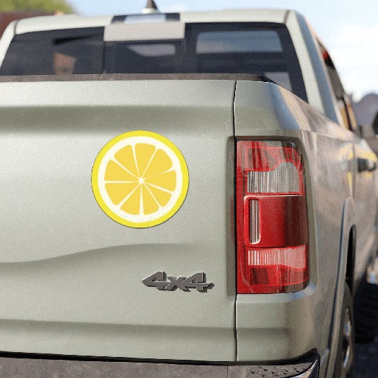 Citrus - Fruits - Orange - Lime - Grapefruit Car Magnets