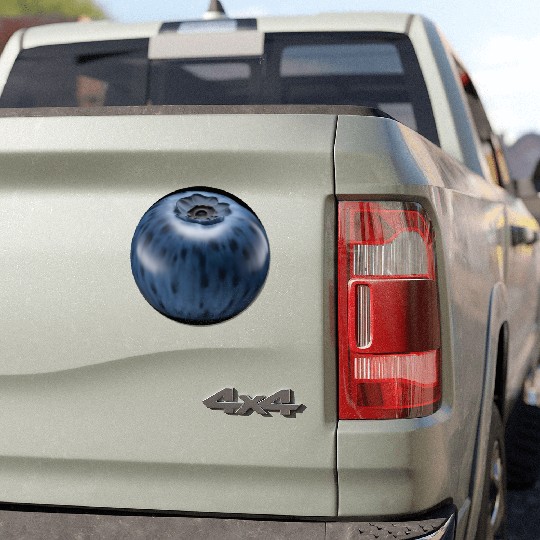 Blueberry Realistic Car Magnets