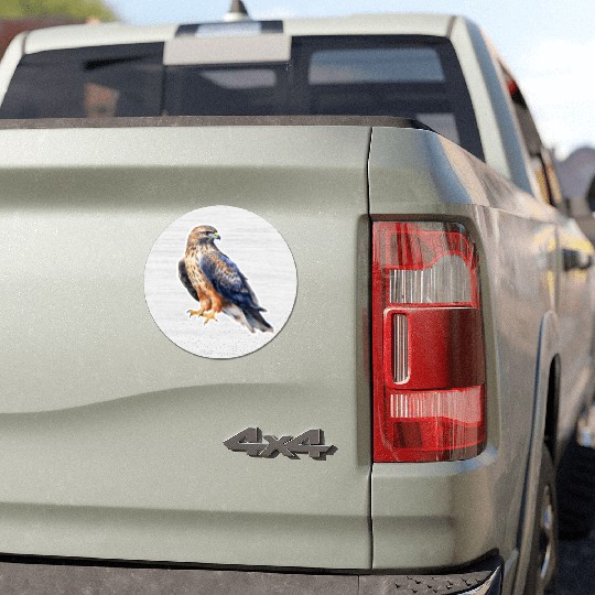 Hawk Watercolor Drawing Car Magnets