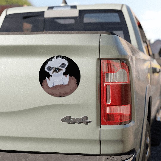 Little Bald Eagle Car Magnets