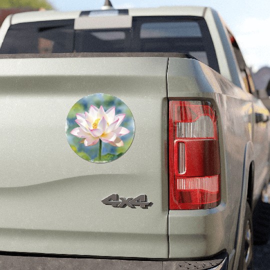 Serene Water Lily Floral Print Car Magnets