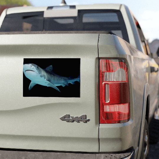 Shark Car Magnets