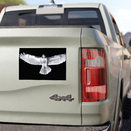 Red-Tailed Hawk Car Magnets