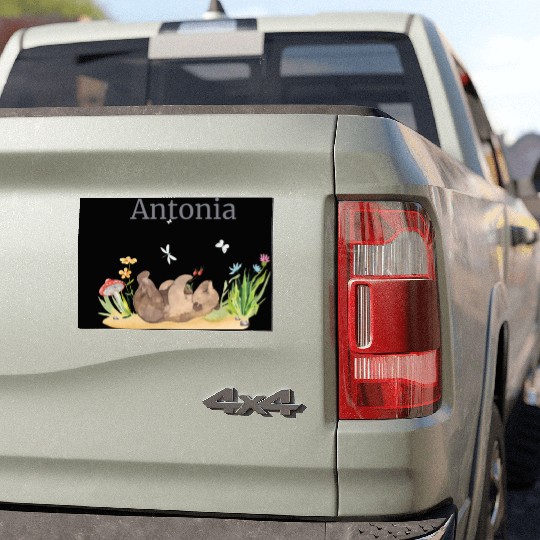 Forest Animal Bear Flowers Name David Car Magnets