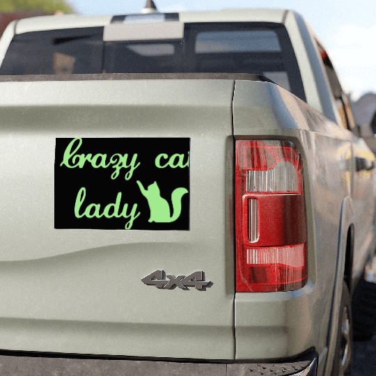 Crazy Cats LOVER Lady Car Magnets