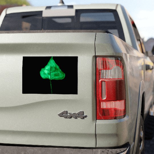 Ivy Leaf Car Magnets