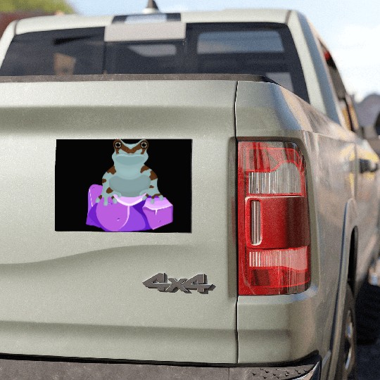 Frog Crystal Amethyst Gemstone For Toad Owners Car Magnets