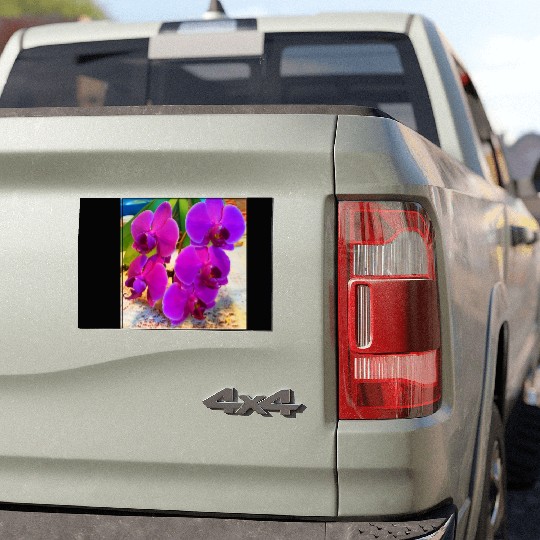 Orchid 2 Car Magnets