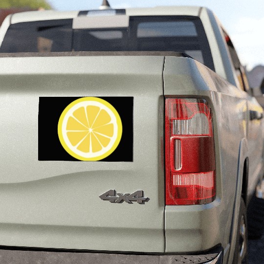 Citrus - Fruits - Orange - Lime - Grapefruit Car Magnets