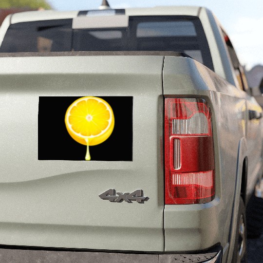 Citrus - Fruits - Orange - Lime - Grapefruit - Lem Car Magnets