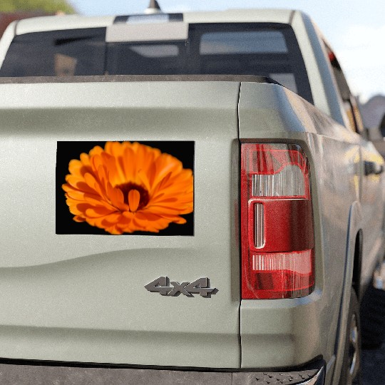 orange flower marigold Car Magnets