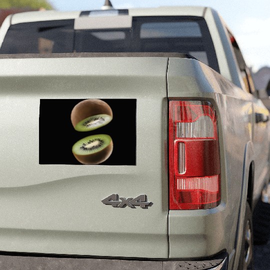 Kiwi Realistic Car Magnets