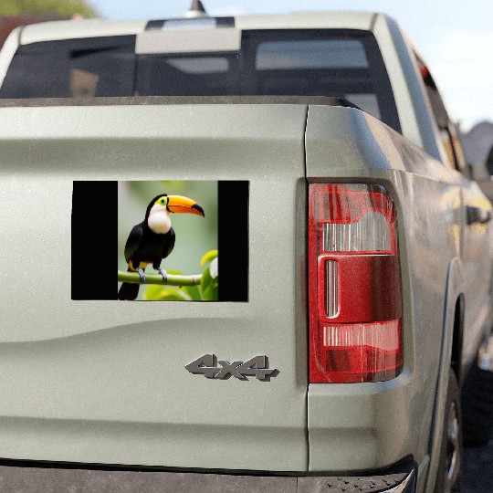 Tropical Toucan Car Magnets