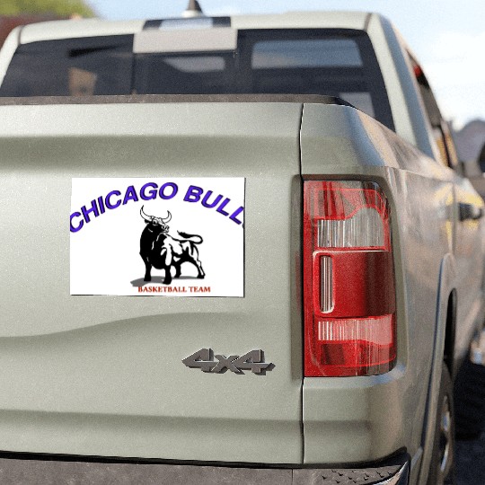 CHICAGO BULLS Car Magnets