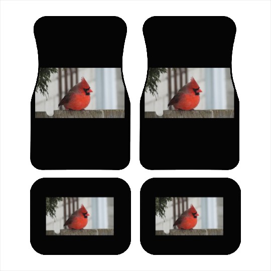 Brilliant Cardinal Bird 2 Car Mats