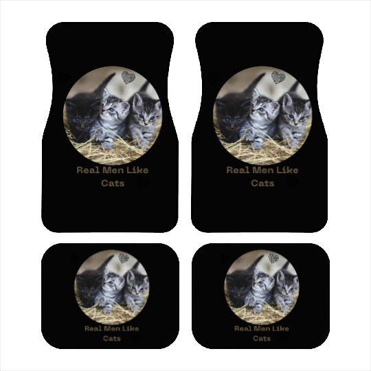 Kittens love Car Mats