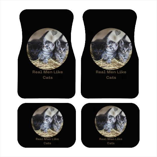 Kittens love Car Mats