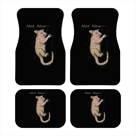 Funny Opossum, Opossum Not Now Car Mats