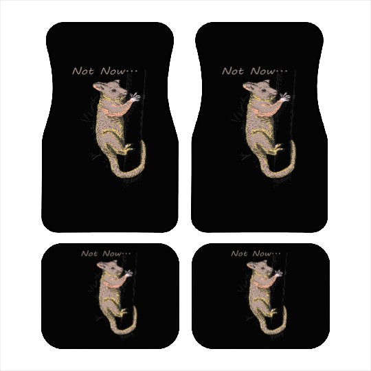 Funny Opossum, Opossum Not Now Car Mats