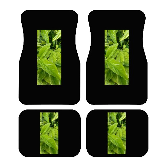 beautiful green plant in the garden Car Mats