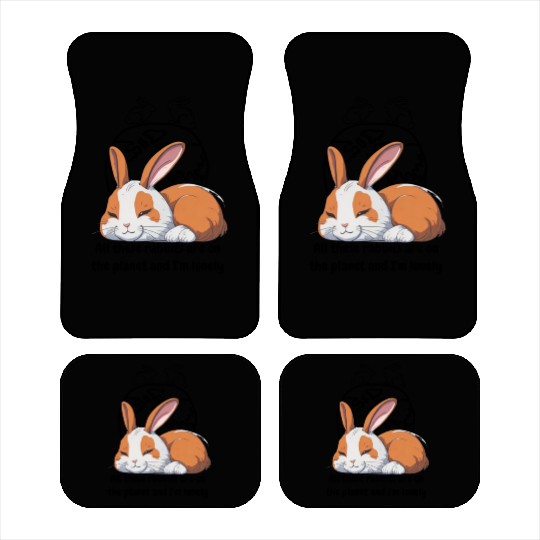 Lonely rabbit Car Mats