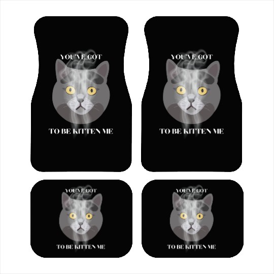 Surprise Funny Cat Car Mats