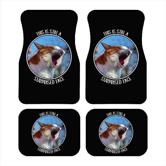 This is Still A Surprised Face Funny Cute Cat Meme Car Mats