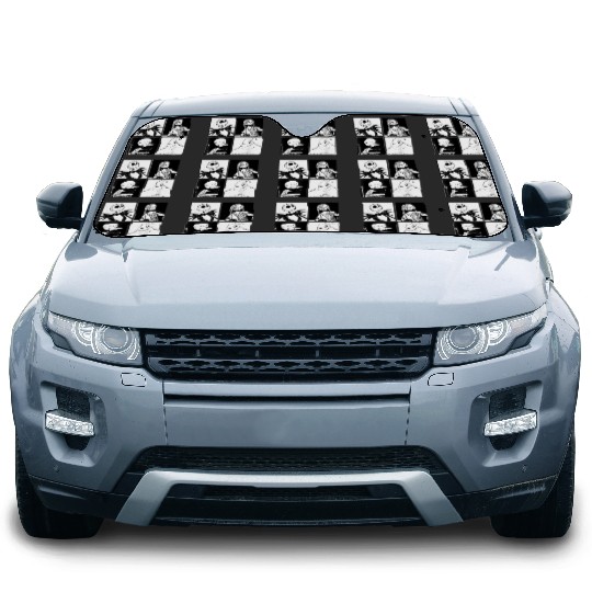 disneys Nightmare Before Christmas Face Car Sun Shades