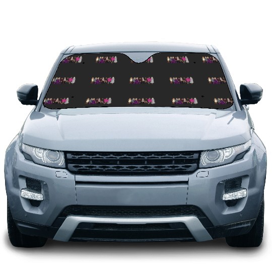 Discover Taylor  Eras  1 Car Sun Shades