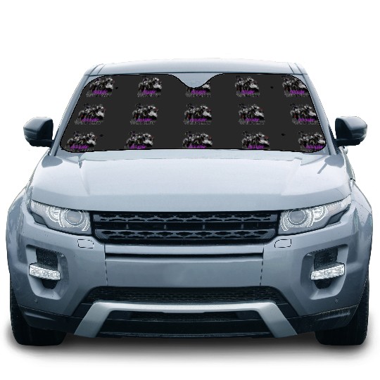 Disney Villains Halloween Feelin Witchy Group Sh Car Sun Shades