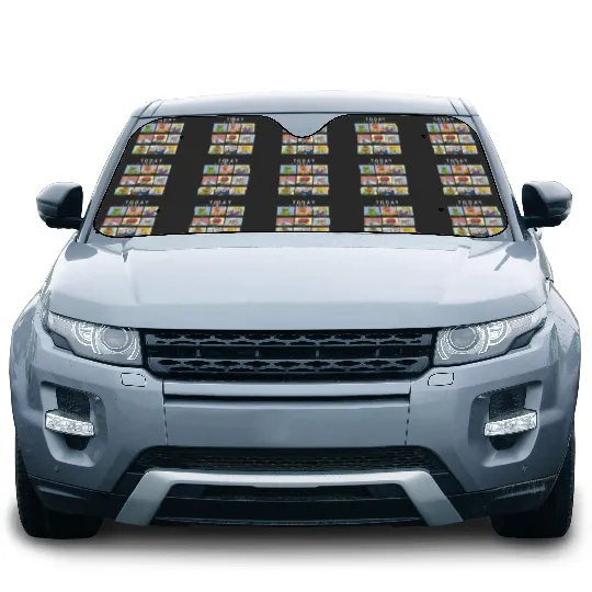 Disney The Muppets Today I Feel Box Up Character Car Sun Shades