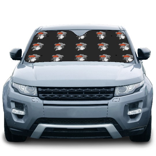 Disney Big Hero 6 Baymax Patterned Rain Clouds P Car Sun Shades